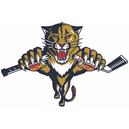 Florida Panthers T-shirts Iron On Transfers N161
